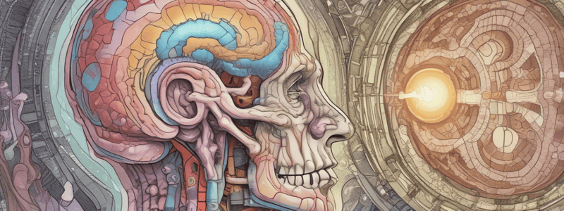 Meningioma Diagnosis and Prognosis