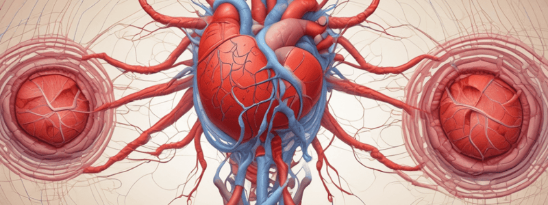 Y1S1 006 III Physiology Functions of Haemostasis in the Cardiovascular System