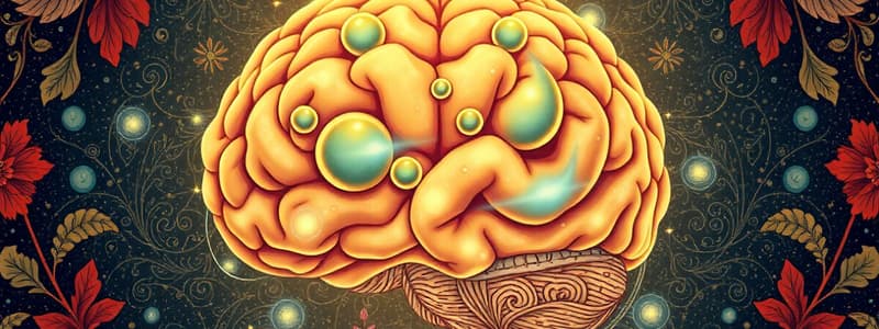 Comprendre le Fonctionnement du Cerveau