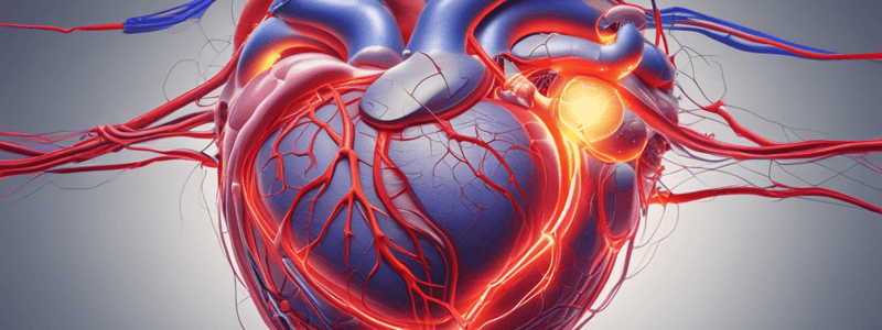 Ch 13 Part 1 - Cardiac Conduction System Pathway Quiz