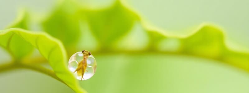 Ciencias de la Vida: Biología y Organización