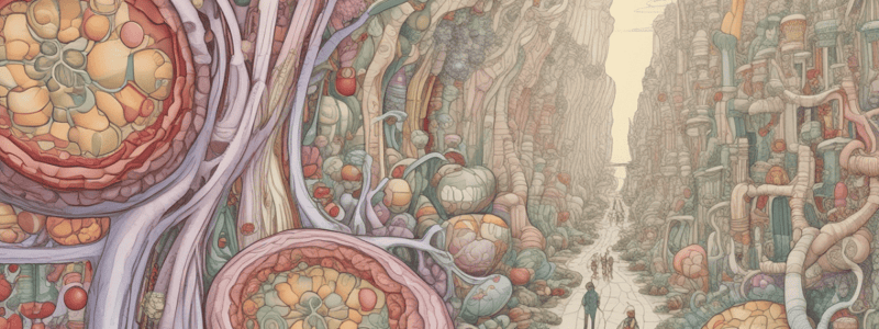 Goodman & Gilman's Chapter 25: Drugs Affecting Renal Excretory Function Quiz