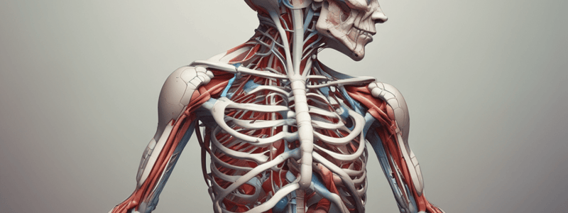 Anatomy Glossary Quiz