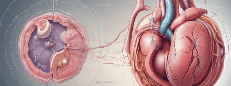 Kidney Function and Excretion