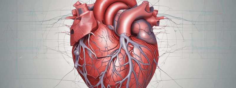 Cardiovascular System