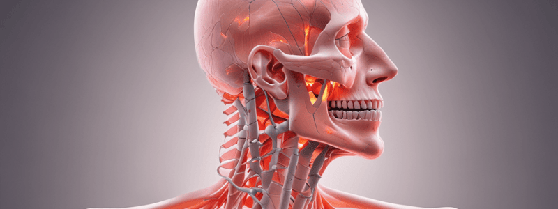 Musculoskeletal Ultrasound Examination Quiz