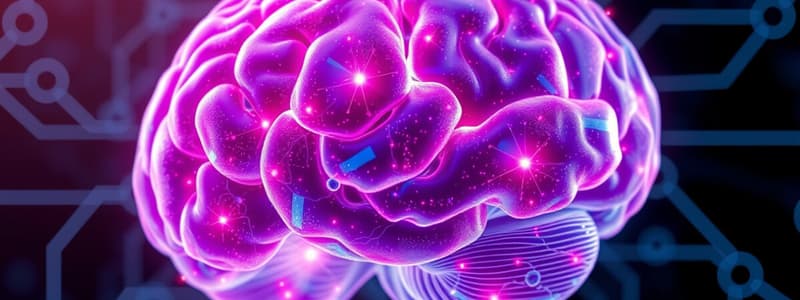 Fundamentos de Procesos Cognitivos