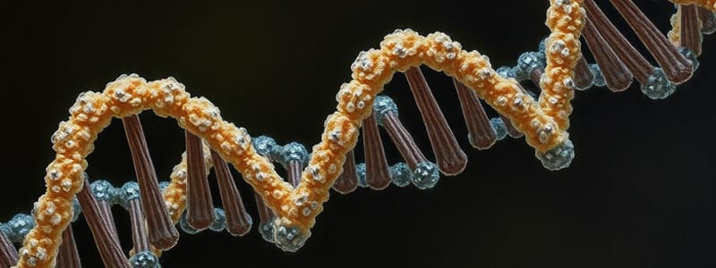 RNA Structure and Pentose Sugars Quiz