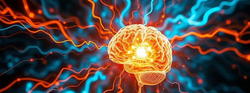 Neuroscienze e Attenzione Spaziale