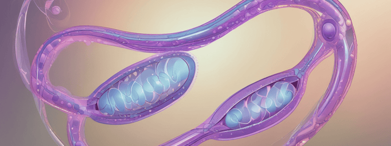 Human Reproduction and Gametes