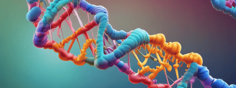 Nucleic Acids Summary