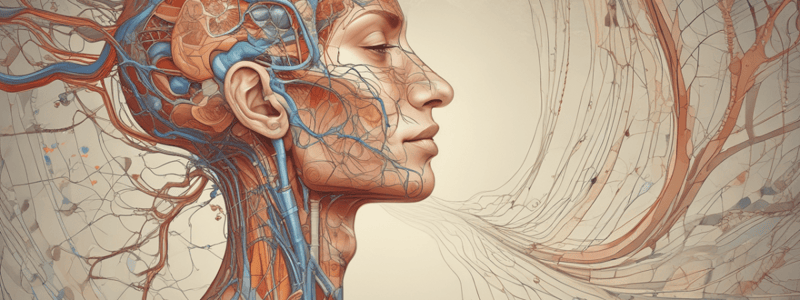 Physiology Chapter 1: Human Body Organization