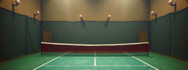 Badminton Laws Overview