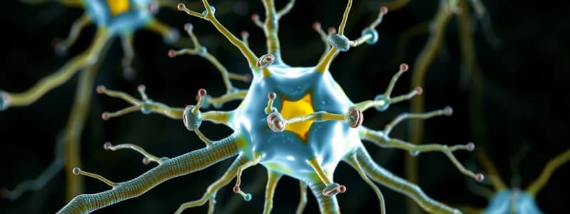 Neuroscience Neuronal Communication Quiz