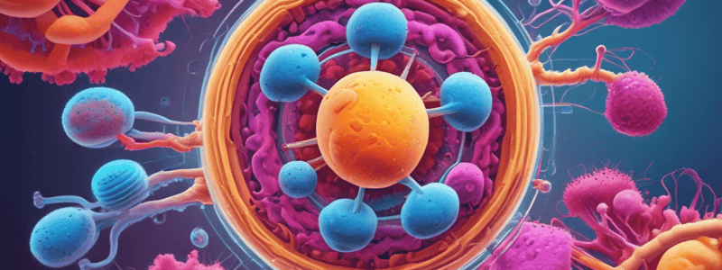 Cell Cycle Regulation