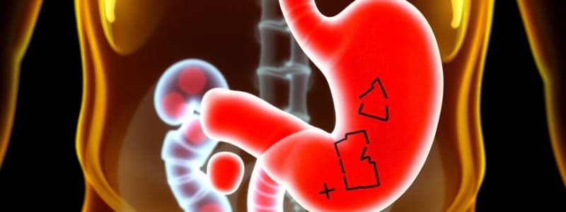 Gallstones and Cholecystitis