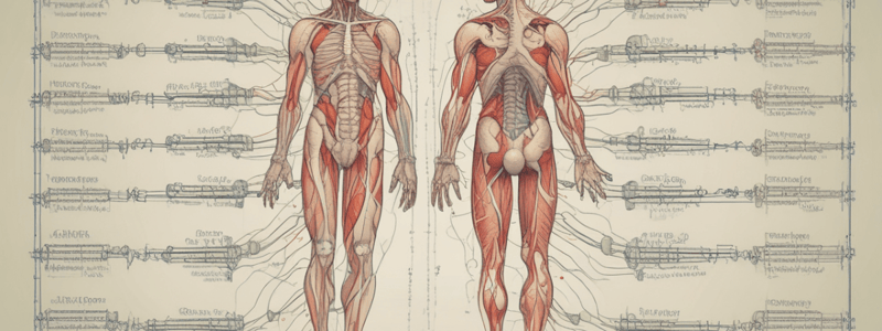 Fisiologia del sangue: pH e sistemi tampone