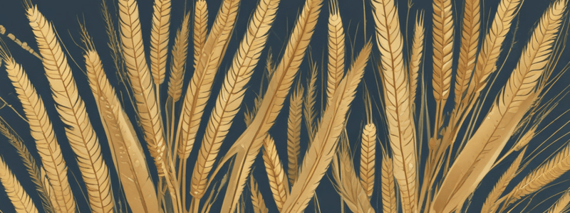 Structure and Reproduction of Wheat Plants