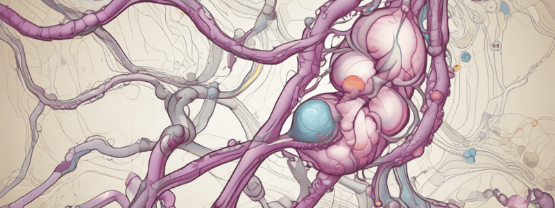 ADH Hormone Function and Pathway