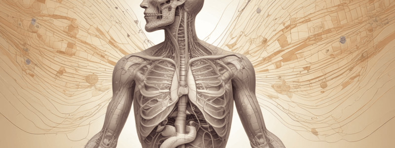 Respiratory System Anatomy and Function Quiz