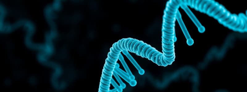 Types of RNA Inhibitors