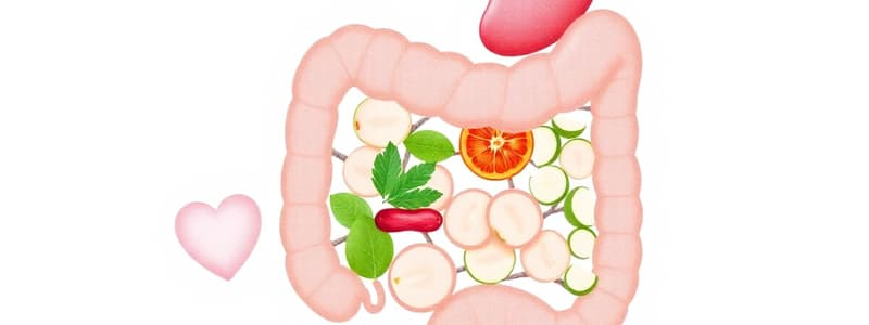 Biologie 10e : Système Digestif et Nutrition