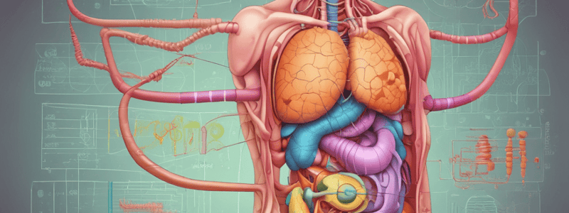 Ch 13 Digestion