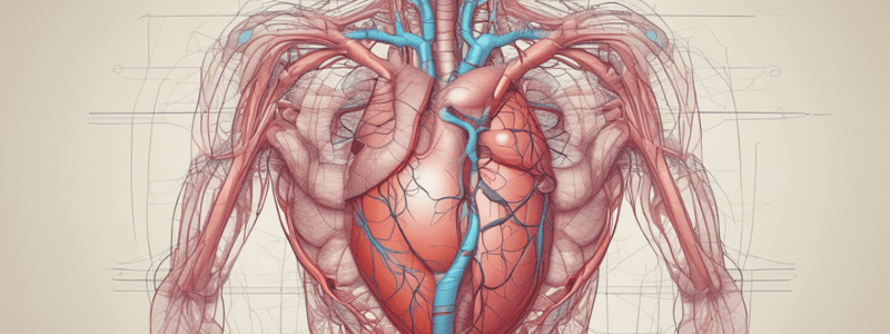 The Human Heart