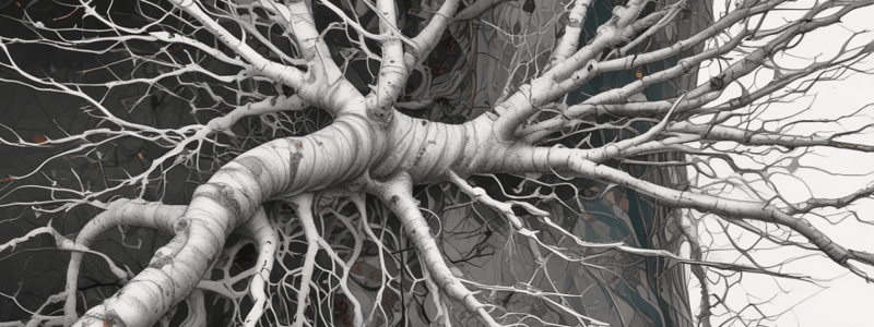 Neural Plasticity and Dendritic Spine Morphology