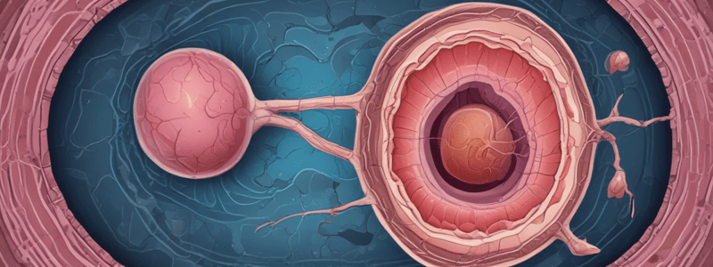 Urology Quiz: Kidney Anatomy and RCC