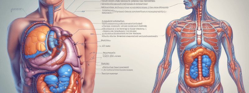 Chapter 20 Pathophysiology of Insulin and Pancreas