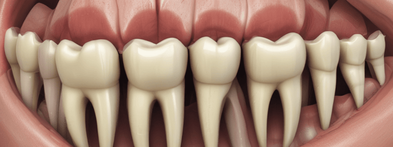 Ultrasonic Root End Preparation in Endodontics