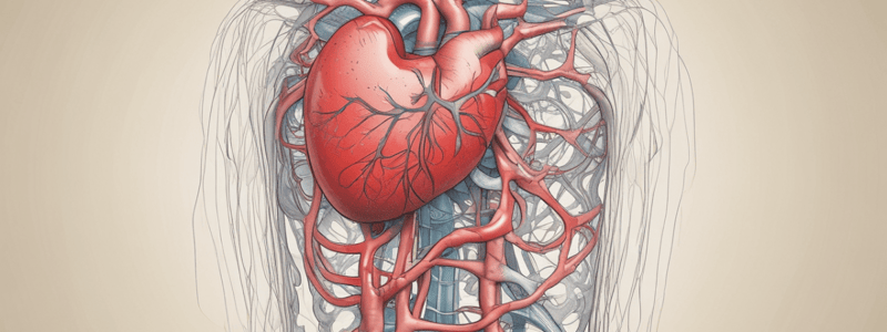 What is a Stroke? Understanding the Medical Emergency