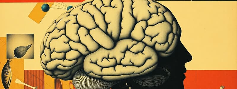 Neuroscience Basics Quiz