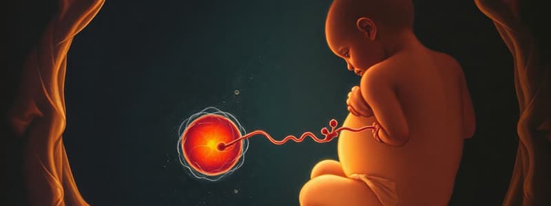 Embryonic Development and Fetal Development