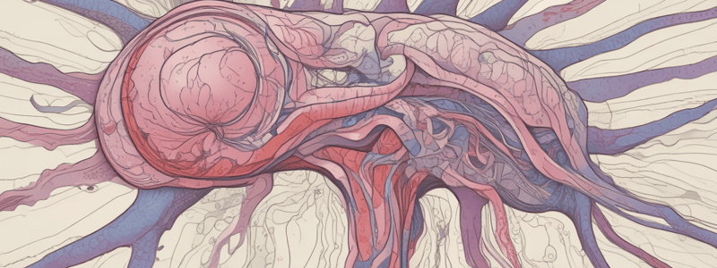 Nervous System Histology