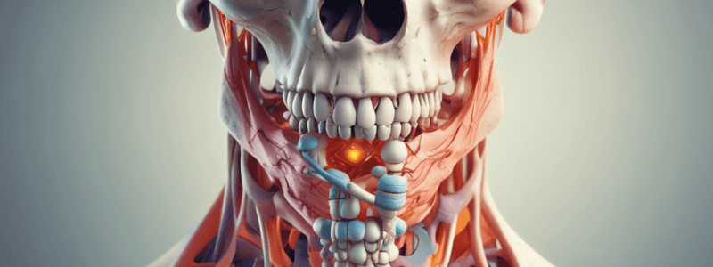 Drugs affecting bone  metabolism