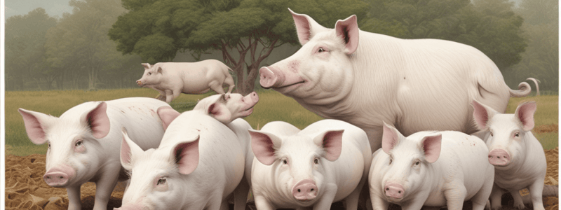 Pig Production and Management