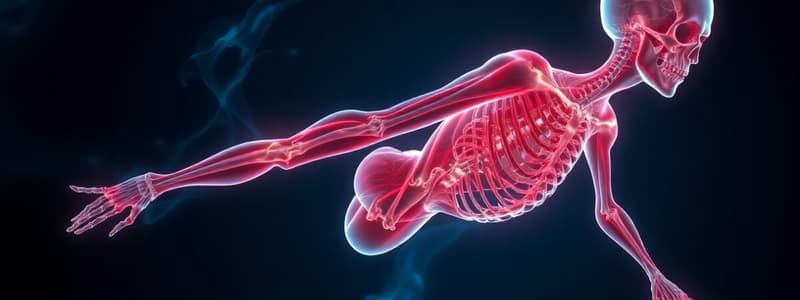 Muscle Tissue Types and Skeletal Muscle