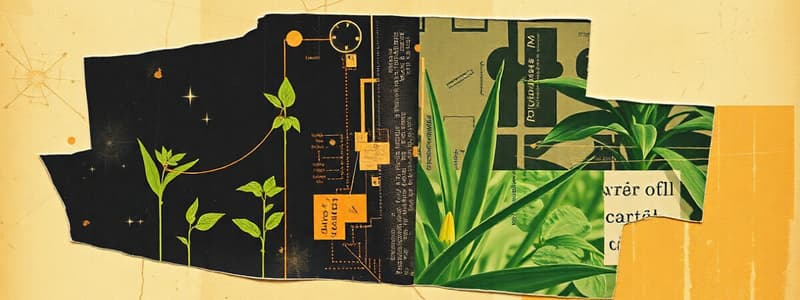 Photosynthesis and ATP Overview