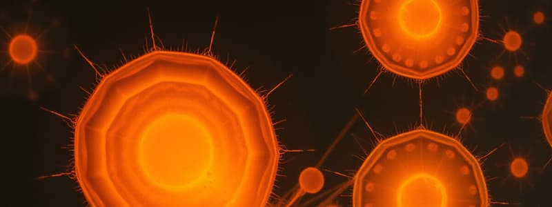 Prokaryotes Overview