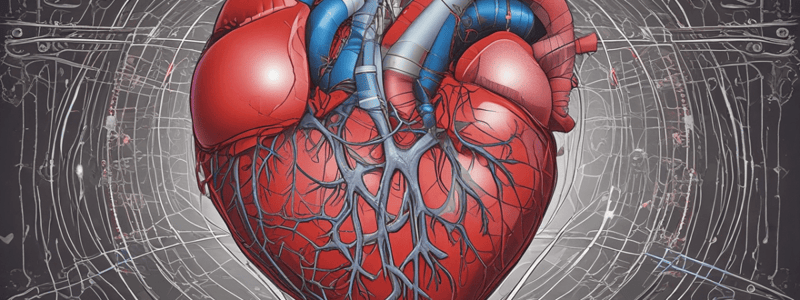 Heart Anatomy Quiz