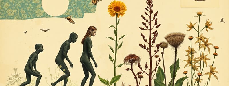 Plant Evolution and Adaptations