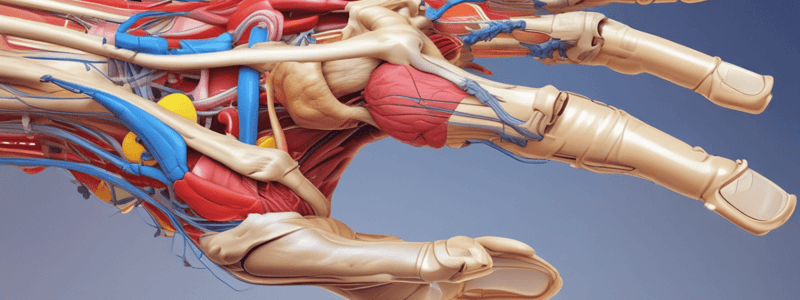 Neurology of the Upper Limb