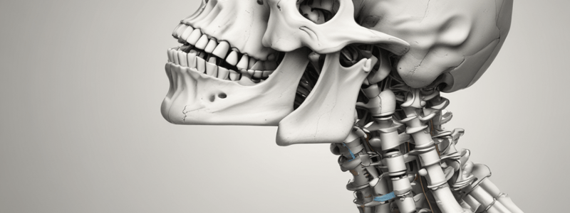 Temporo-mandibular Articulation