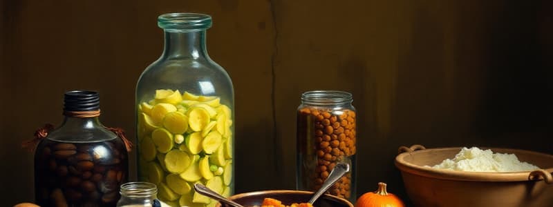 La fermentazione degli alimenti: storia e origini