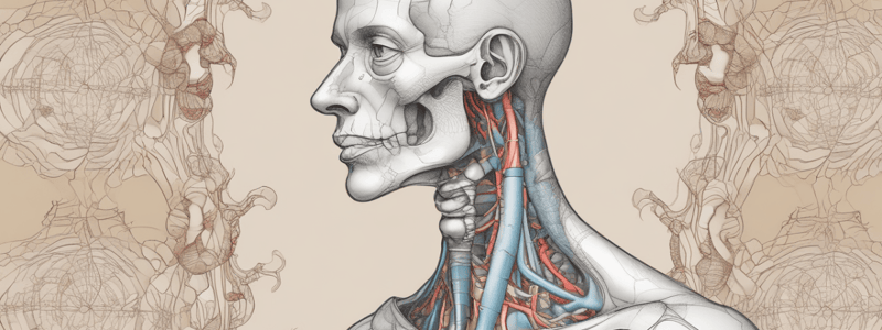 Thyroid and Neck Disorders