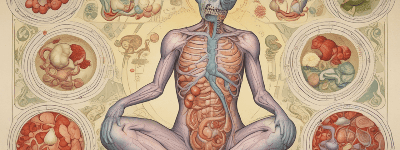 Hypothalamus and Hunger Regulation