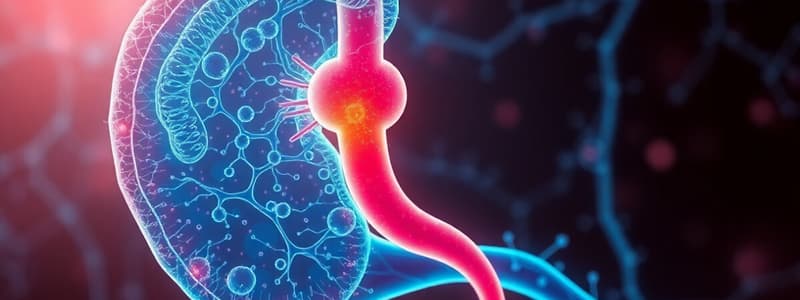 JAYS QUIZPAD: Kidney Biochemistry and Nephron Functions