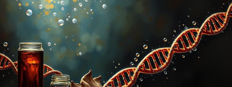 DNA Polymerase Introduction